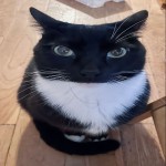 BillAus's Avatar