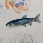 iroiro's Avatar