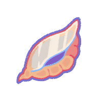 Seashell