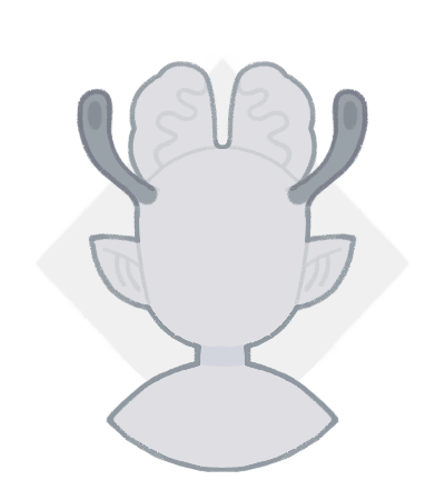 8Js5NZRbO462-image.png